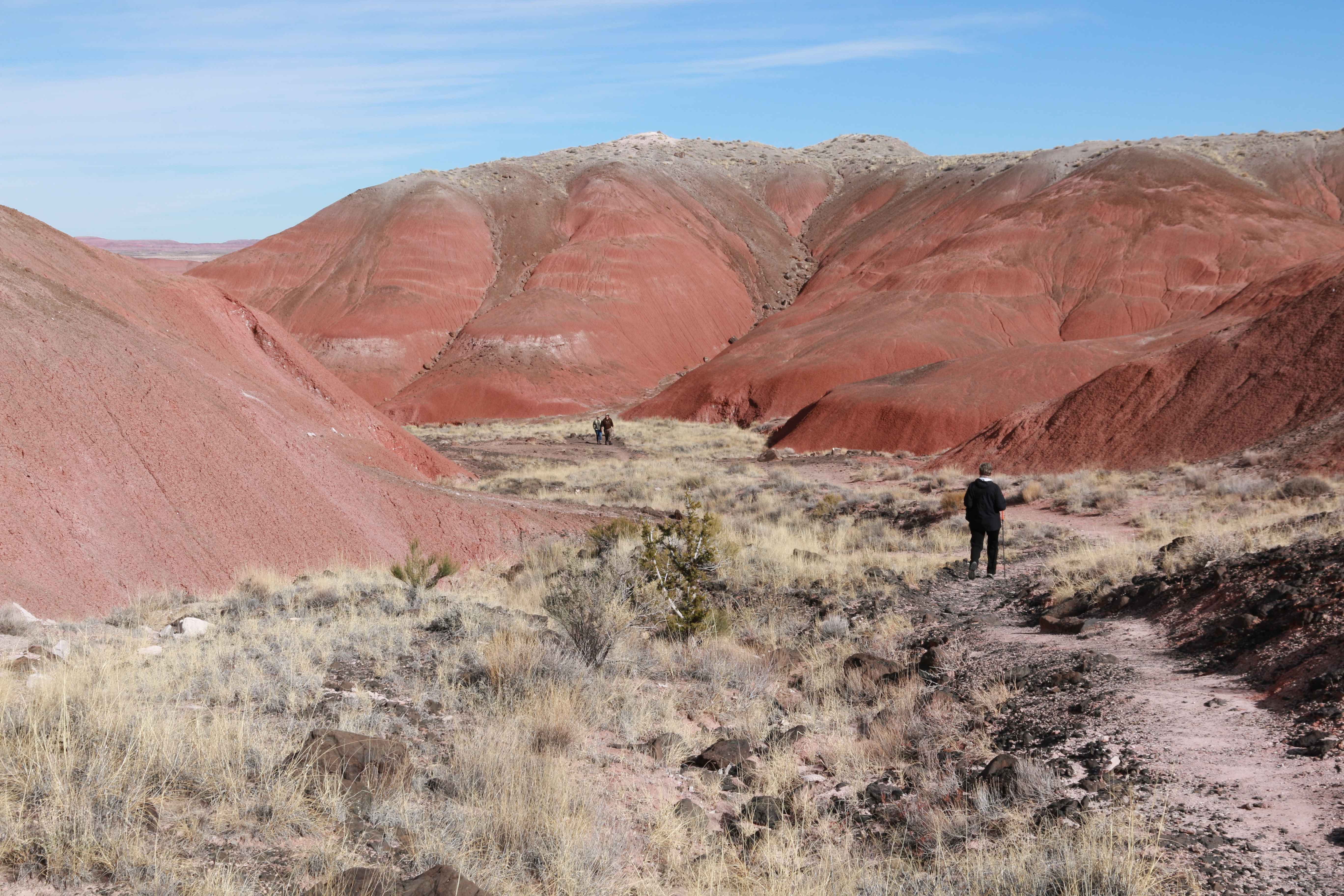 Petrified Forest NP